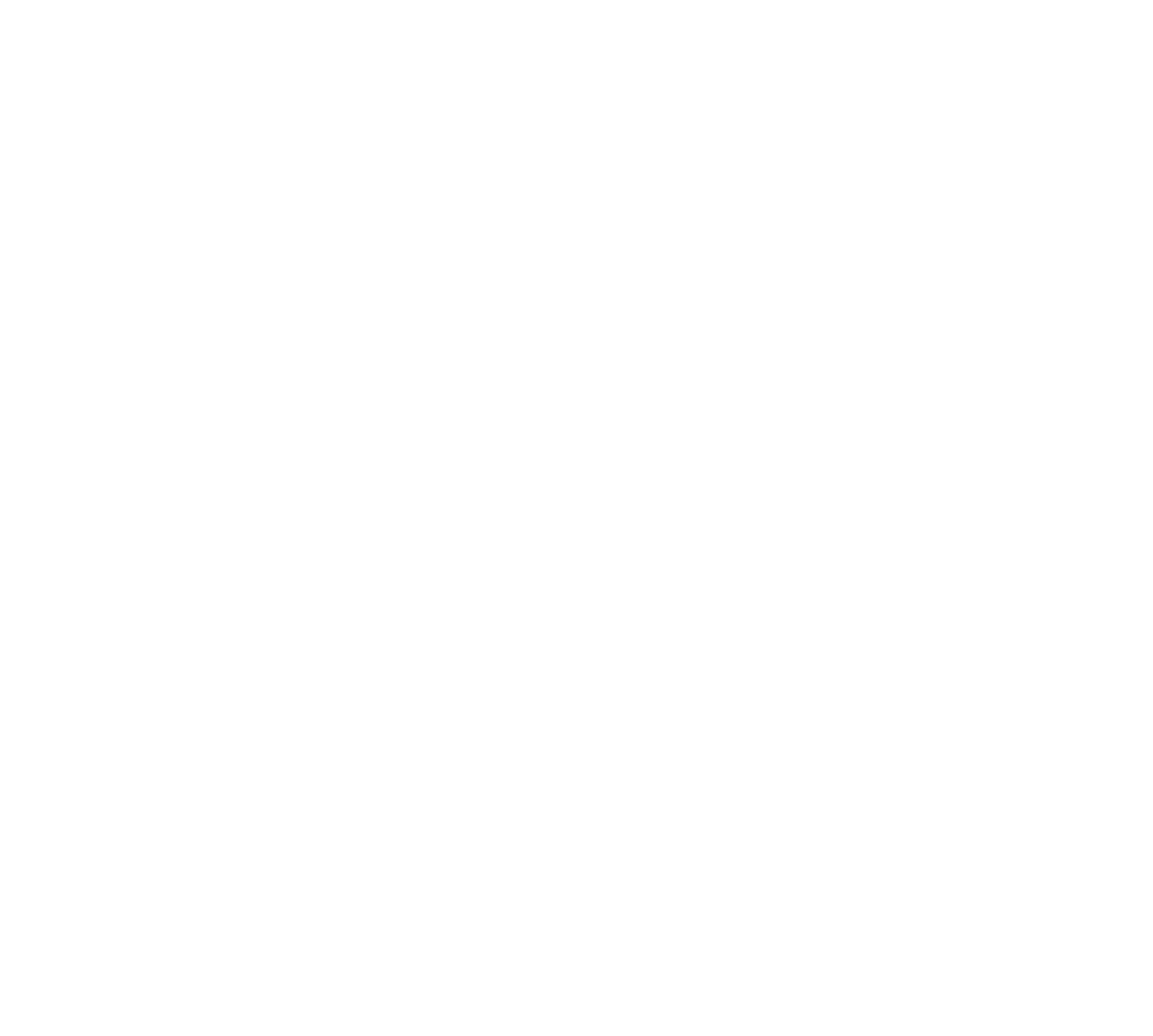 RPL Slutions